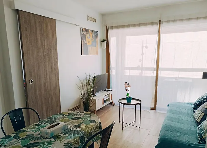 公寓 2 Pieces Climatise Avec Balcon Dans Le Vieil Antibes, Avec Ascenseur